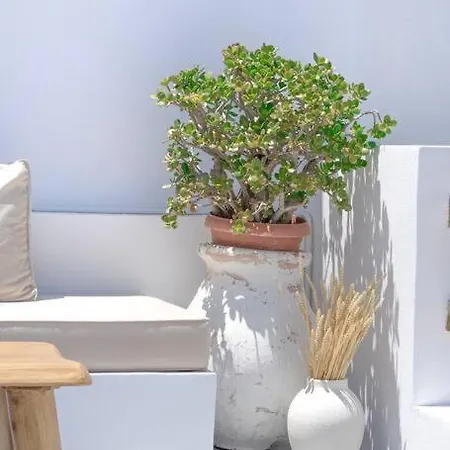 Lyra Sunset Apartamento