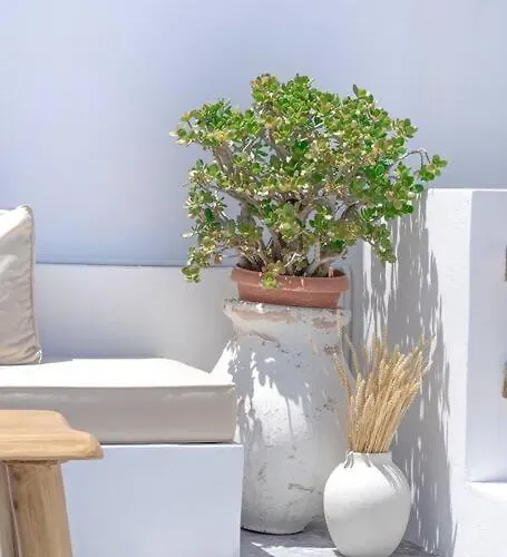 Lyra Sunset דירה